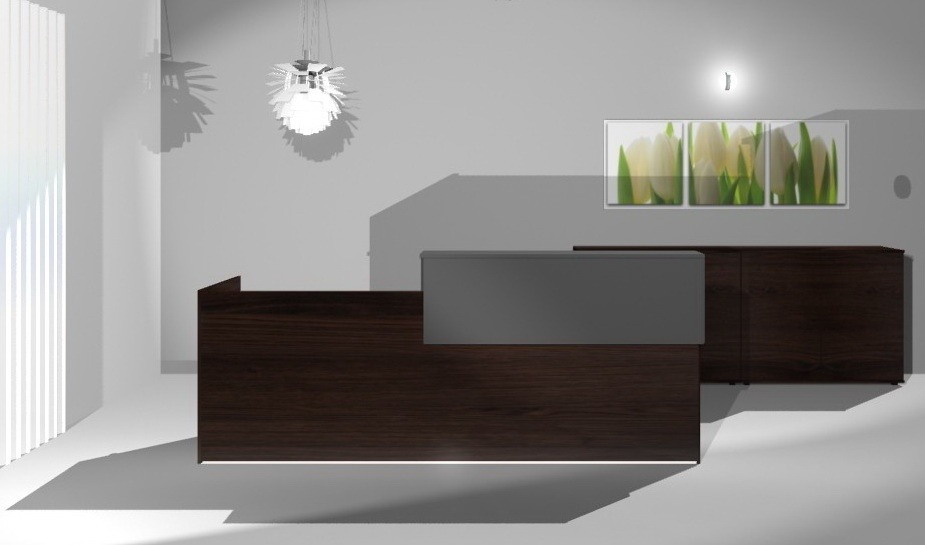 Wizualizacja biura: ciemnobrązowa lada recepcyjna z szarym blatem, szafka w tle, obraz z motywem tulipanów i designerska lampa wisząca.