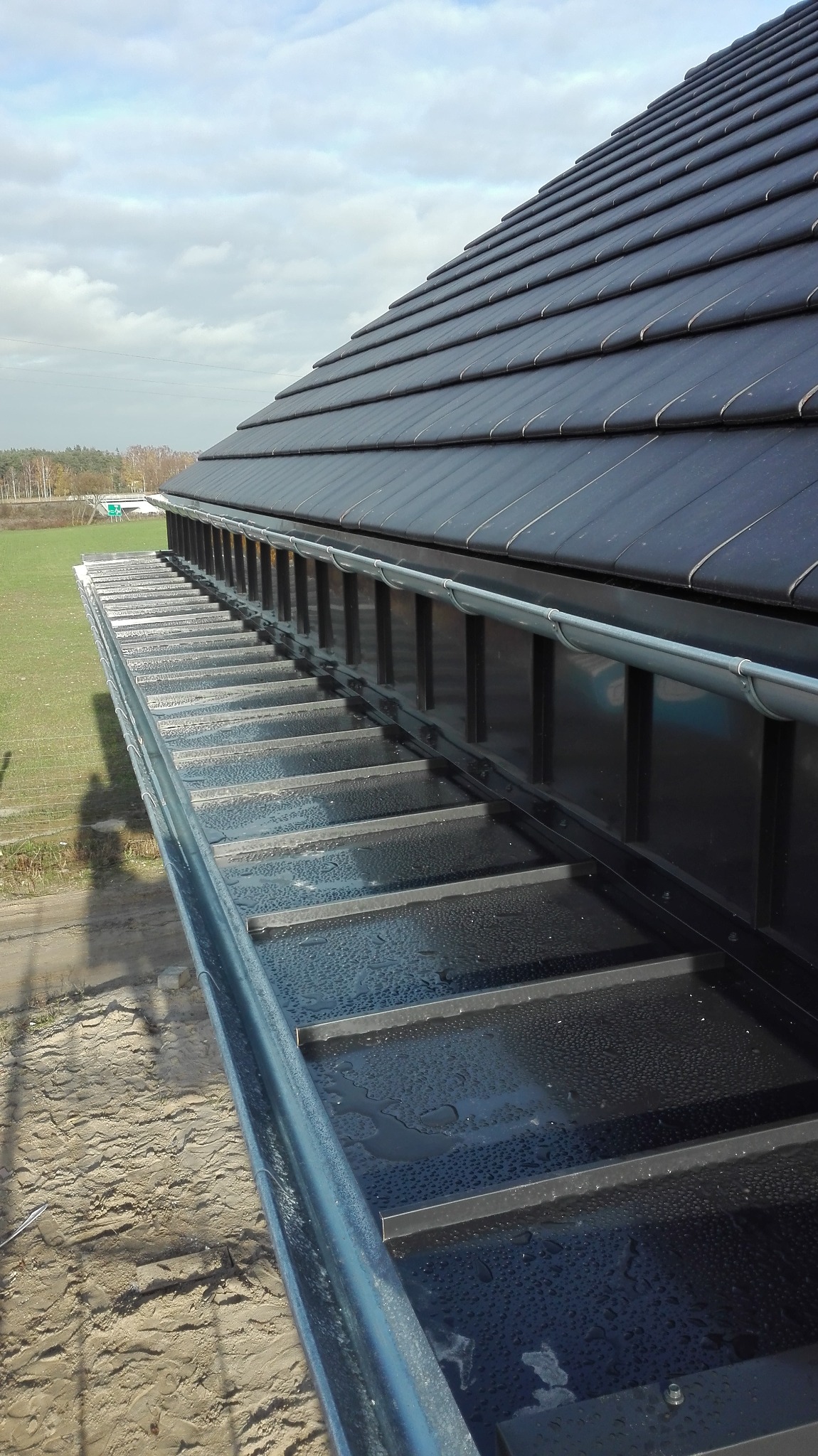 Nowoczesny, czarny dach z blachy na rąbek stojący, z zamontowanymi rynnami w kolorze srebrnym. Widok z dołu na tle zieleni i błękitnego nieba.