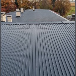 M-Color - Szary dach z blachy trapezowej, widok z góry, kominy z cegły, jesienne drzewa w tle, pochmurne niebo. Charakterystyczne żłobienia blachy.