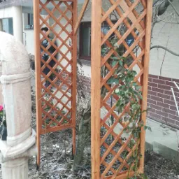 Nowa drewniana konstrukcja z kratownicą w ogrodzie, z fragmentami śniegu na ziemi i pnącą rośliną. W tle widoczny budynek z balkonem.