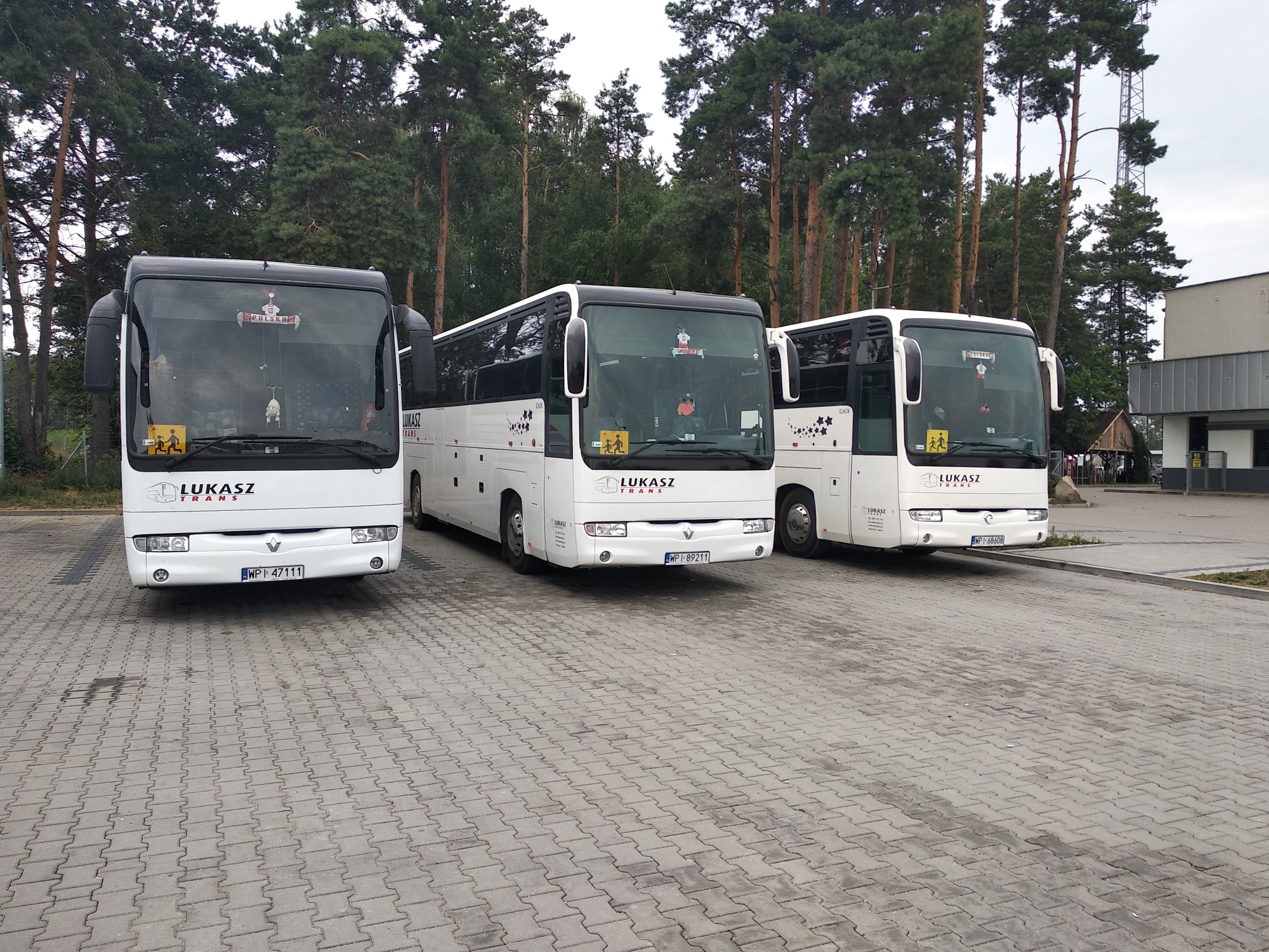 Trzy białe autokary firmy Łukasz Trans zaparkowane na placu z kostki brukowej, w tle drzewa iglaste i budynek