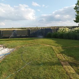 Daniel - Trawniki z Rolki Poznań