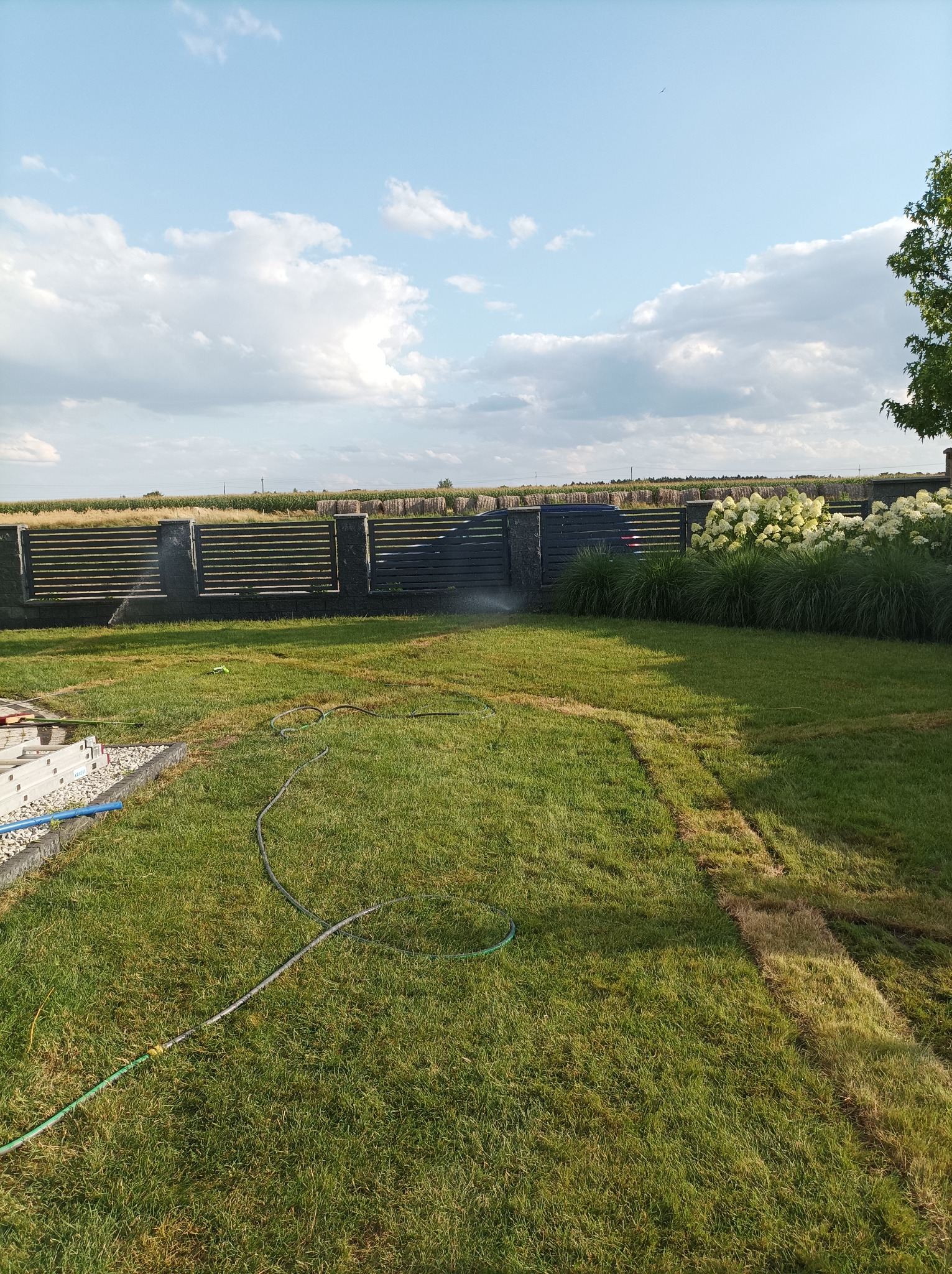 Wykonujemy pracę ogrodnicze systemy automatycznego nawadniania ogrodu