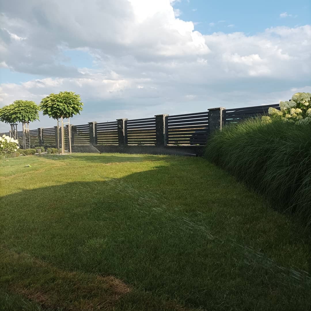 Automatyczne nawadnianie trawnika w ogrodzie z nowoczesnym ogrodzeniem, kulistymi drzewami i ozdobną trawą.