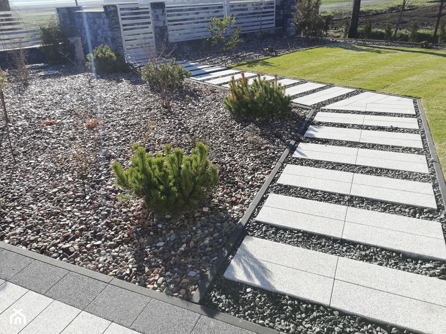 Ścieżka z jasnych, prostokątnych płyt ułożona w trawniku, otoczona szarym żwirem i niskimi roślinami iglastymi, widok na zadbany ogród.