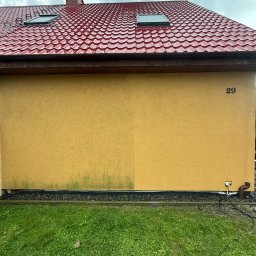 Dawid Kojka - Żółta ściana domu z widoczną linią podziału między zabrudzoną zielonym nalotem a czystą częścią, pod czerwonym dachem z dwoma oknami dachowymi.