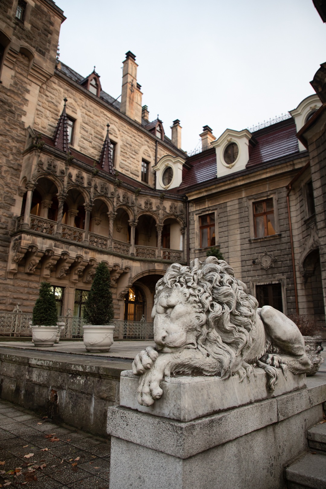 Kamienna rzeźba lwa przed pałacem w stylu neorenesansowym z misternymi zdobieniami i balkonami, z dwoma drzewkami w donicach w tle.