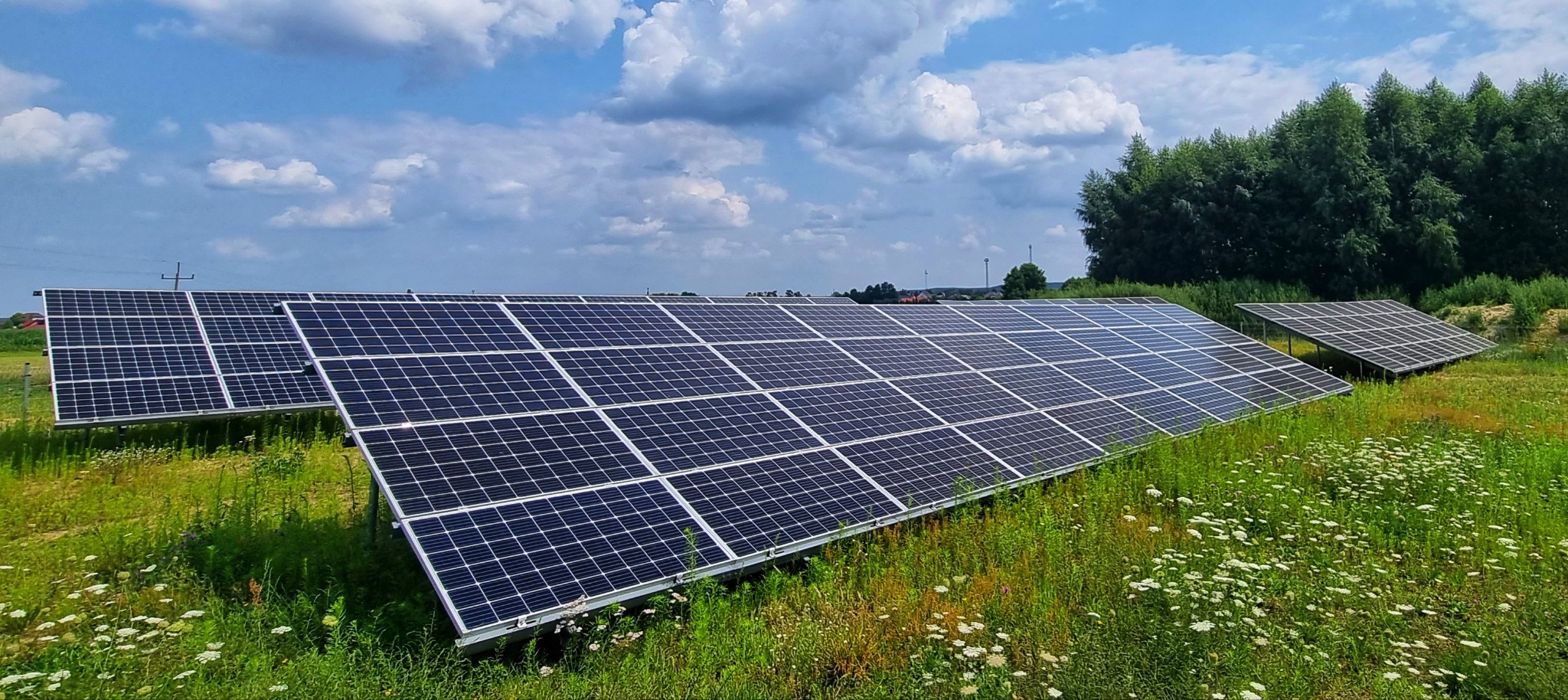 Rozległa instalacja paneli słonecznych na zielonym polu z kwitnącymi białymi kwiatami, błękitne niebo z obłokami w tle.