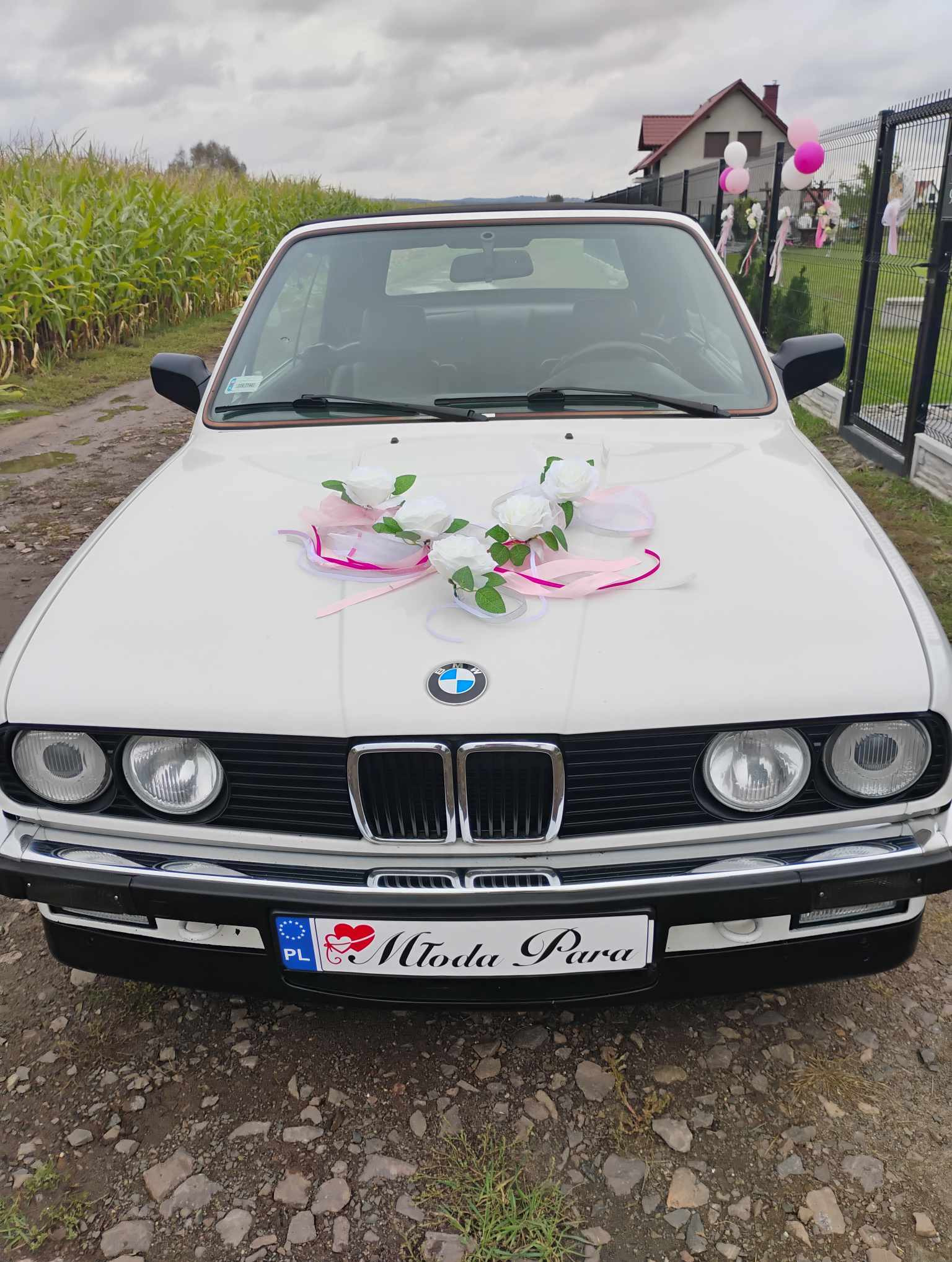 Białe BMW E30 udekorowane białymi różami i różowymi wstążkami na masce, tablica rejestracyjna z napisem 'Młoda Para', w tle pole kukurydzy i dekoracje ślubne.