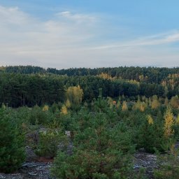 FTrans - Transport Międzynarodowy Sompolno