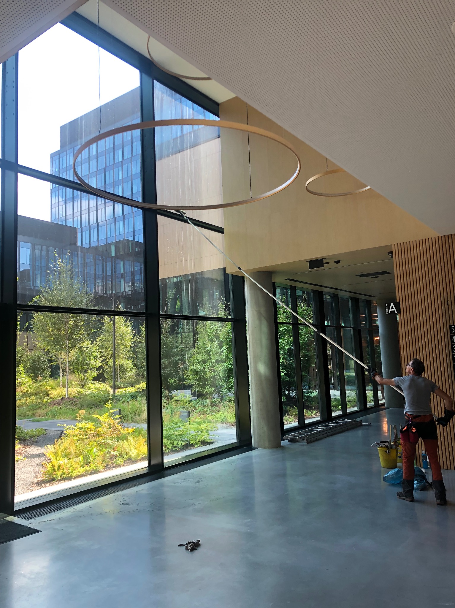 Pracownik w trakcie mycia wysokich okien w biurowcu, używając specjalistycznego sprzętu. Widoczne duże okna z widokiem na zieleń, drabina i wiadro z akcesoriami.