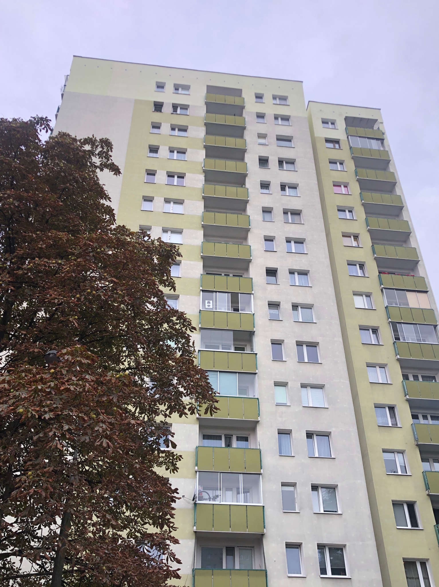 Wysoki blok mieszkalny z balkonami, częściowo zasłonięty przez drzewo z brązowymi liśćmi. Budynek w odcieniach bieli i zieleni, widziany z dołu pod kątem.