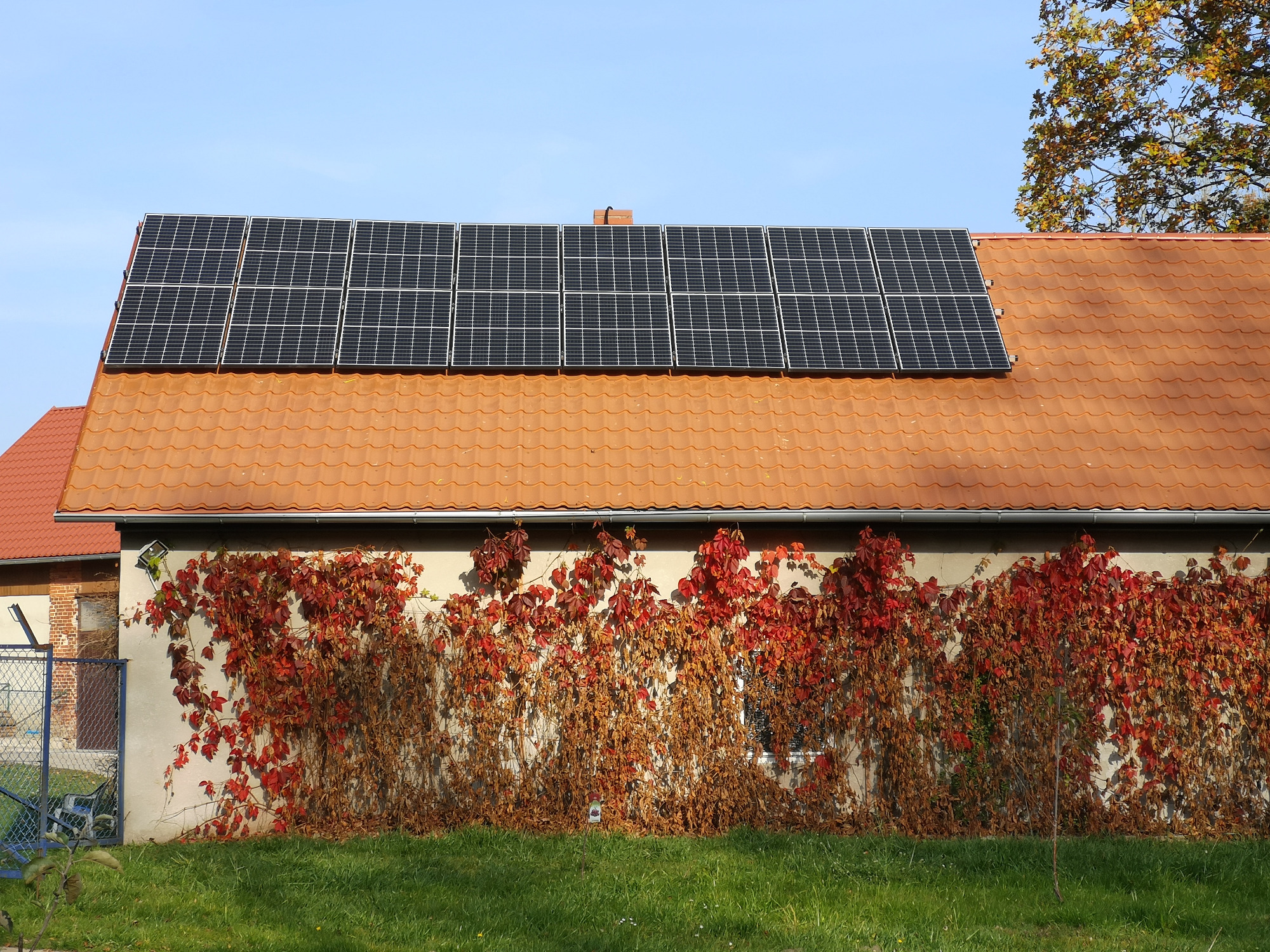Panel słoneczny na pomarańczowym dachu budynku z elewacją porośniętą winobluszczem o czerwonych i brązowych liściach, na tle błękitnego nieba.