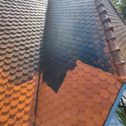 Częściowo wyczyszczony dach z łuski ceramicznej, ukazujący różnicę w kolorze i czystości. Widoczne zabrudzenia i odświeżona powierzchnia.