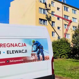 Mycie dachów Tarnowo Podgórne 4