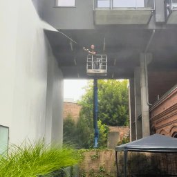 Mycie dachów Tarnowo Podgórne 2