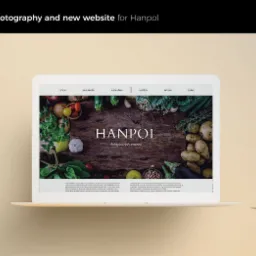 Ekran laptopa prezentuje stronę internetową firmy Hanpol z produktami spożywczymi, otoczonego zielonym liściem palmy i logiem Ideovi Creative Agency.