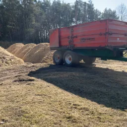 Czerwona przyczepa Sodimac częściowo zacieniona, obok sterty jasnych trocin na trawiastym terenie, w tle las iglasty pod błękitnym niebem.