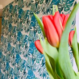 Remonty mieszkań Łódź 3