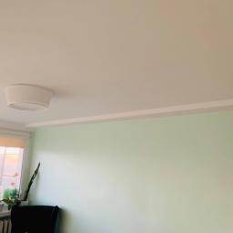 Usługi wykończeniowe wnętrz Martyna Jędrzejczyk - Jasnozielona ściana z białym sufitem i okrągłą lampą sufitową, widok na okno z roślinami i widokiem na miasto w tle.