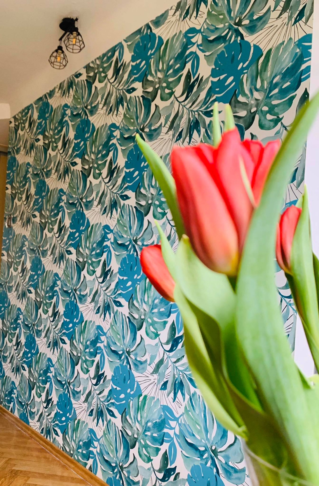 Ściana z wzorem dużych, zielono-niebieskich liści monstery, widoczna za bukietem czerwonych tulipanów w wazonie, oświetlona przez nowoczesną, czarną lampę sufitową z trzema kloszami.
