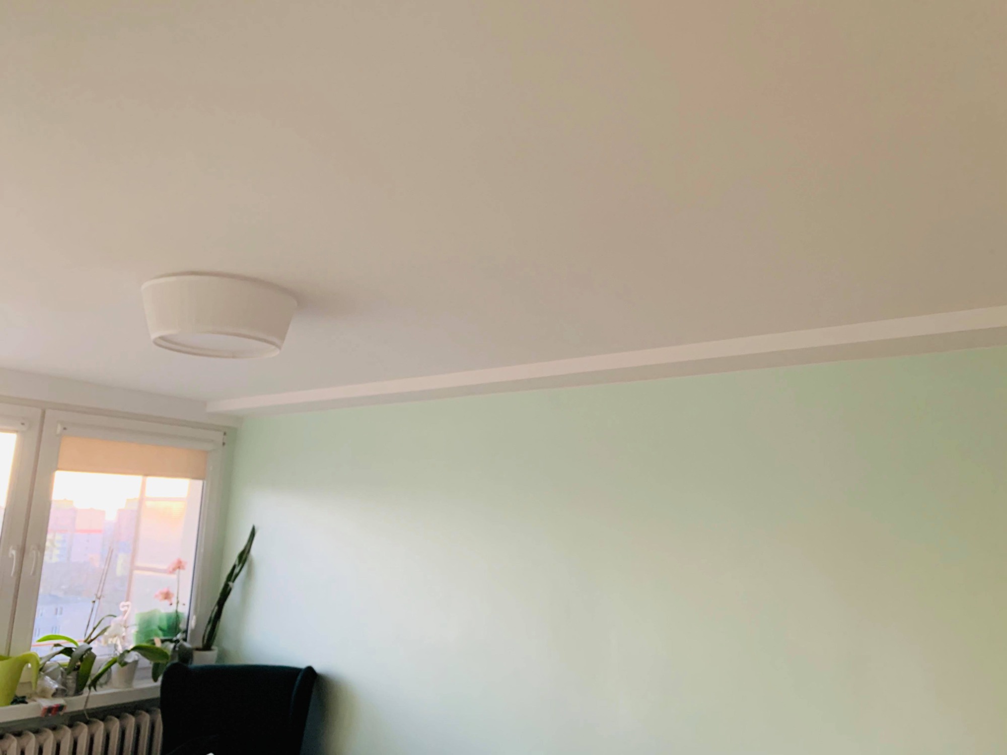 Jasnozielona ściana z białym sufitem i okrągłą lampą sufitową, widok na okno z roślinami i widokiem na miasto w tle.