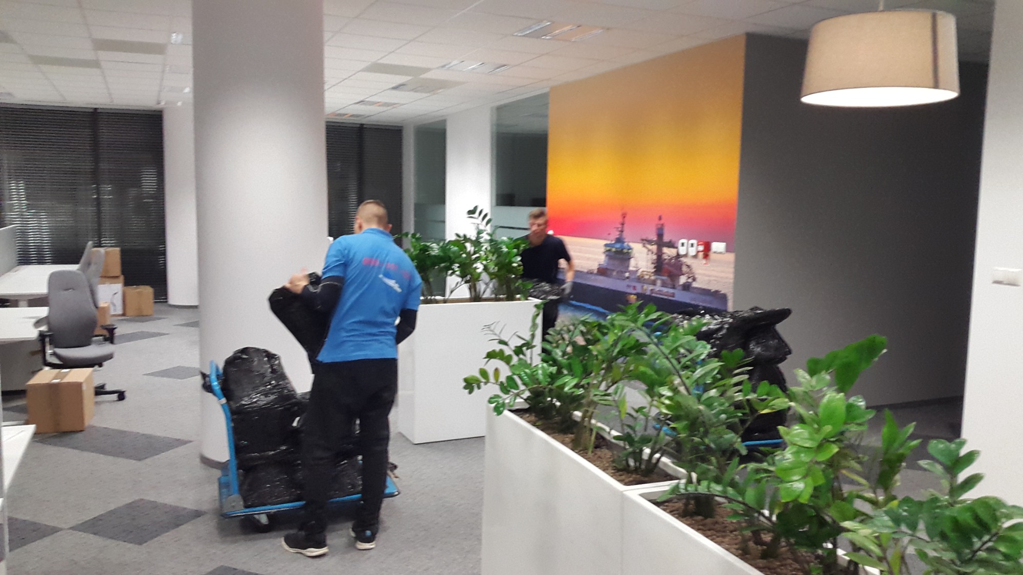 Dwóch mężczyzn przenosi zapakowane przedmioty na wózku w biurze, widoczne rośliny w donicach i kartony, w tle grafika na ścianie.