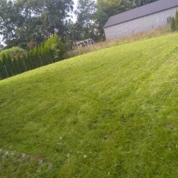 Zielony trawnik na pochyłym terenie z widokiem na budynek gospodarczy i szpaler tuj, w tle konstrukcja szklarni.