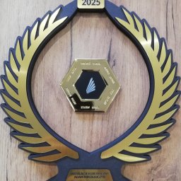 Elektryk Zielona Góra