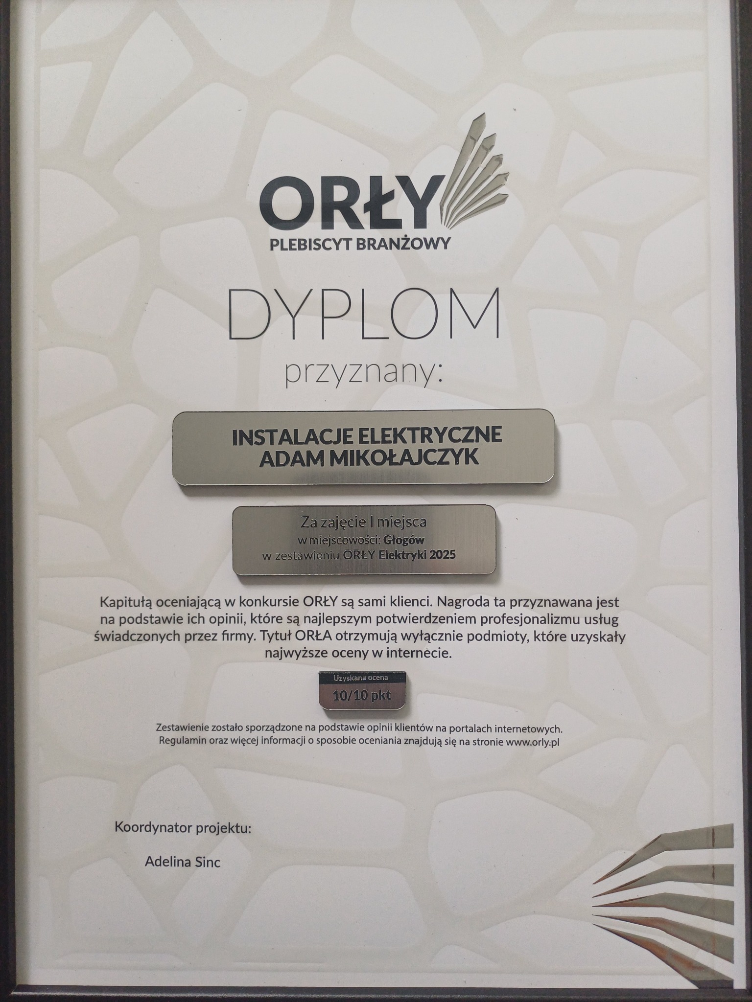 Dyplom 'Orły Plebiscyt Branżowy' dla 'Instalacje Elektryczne Adam Mikołajczyk' za zajęcie I miejsca w Głogowie w zestawieniu 'Orły Elektryki 2025', ocena 10/10.