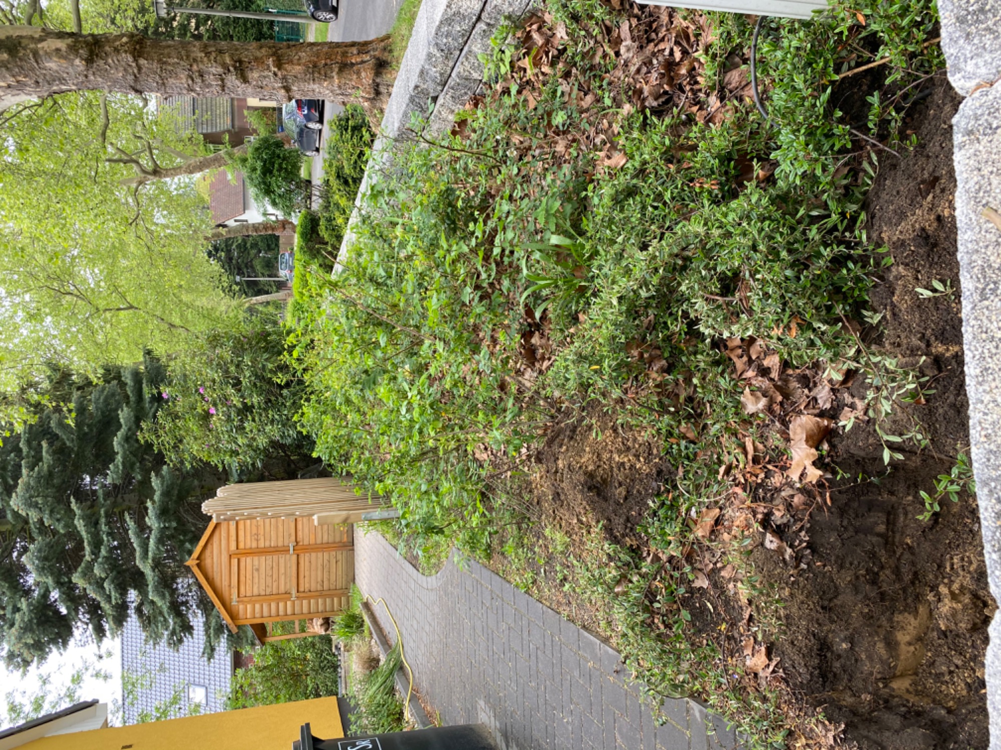 Przygotowanie terenu pod nasadzenia w ogrodzie, widoczne świeżo przekopane rabaty, ścieżka z kostki brukowej i drewniany domek narzędziowy w tle.