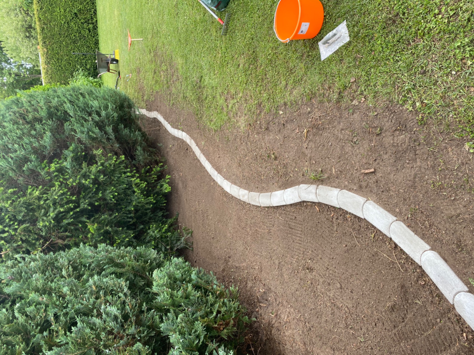 Układanie obrzeży z kostki betonowej wzdłuż rabaty z krzewami, widoczna ziemia, trawa, wiadro i narzędzia ogrodnicze w tle.