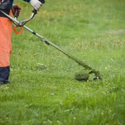 Osoba w pomarańczowych spodniach przycina trawę na łące pełnej mleczy za pomocą podkaszarki spalinowej.