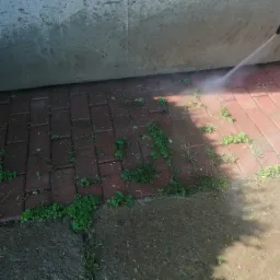 Plewienie kostki z jednoczesnym jej czyszczeniem