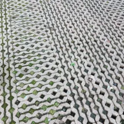 Czyszczenie z kiepow