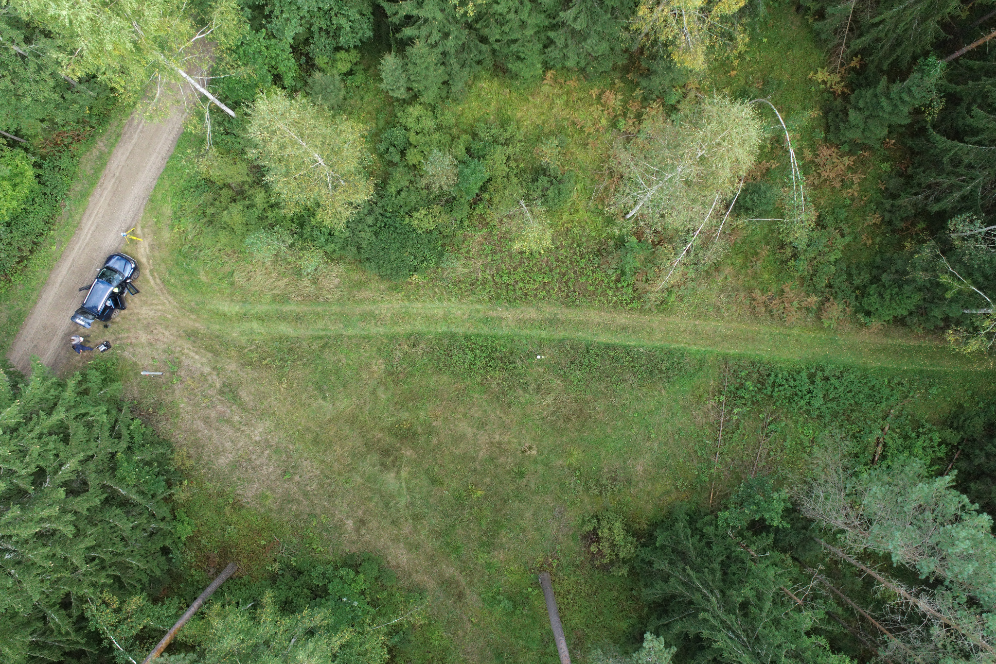 Zdjęcie z drona przedstawia leśną drogę, na której zaparkowany jest ciemny samochód z otwartymi drzwiami. Obok pojazdu widać dwie osoby i sprzęt pomiarowy. Widok z góry na drzewa i krzewy...