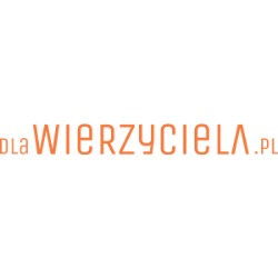 Pomarańczowe logo 'dlaWierzyciela.pl' na białym tle, prosta typografia.