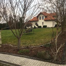 Centrum Psychoterapii 