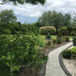 Prywatne kliniki Dobrzyń nad Wisłą 3