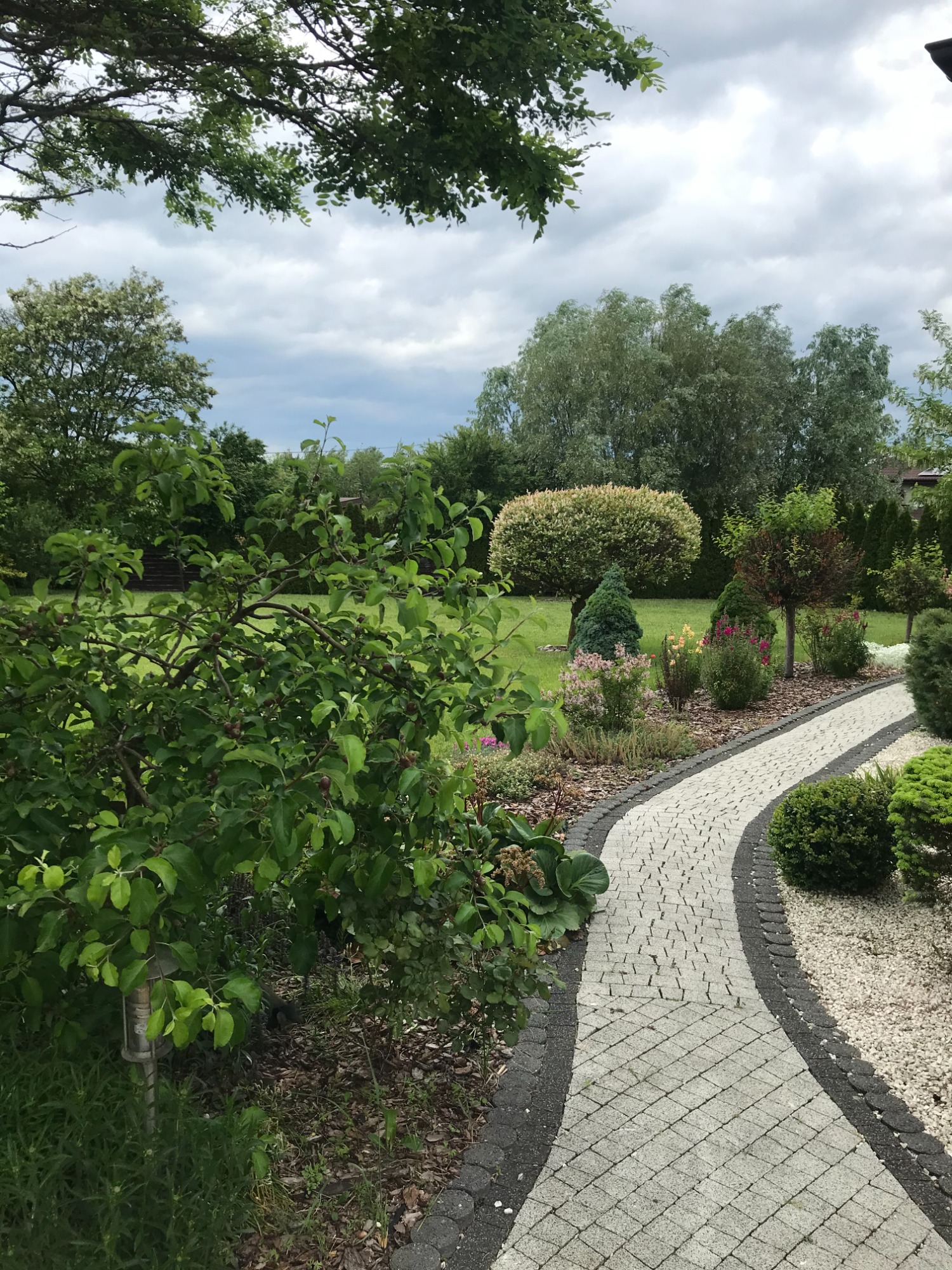 Zadbany ogród z krzewami, drzewami i ścieżką z kostki brukowej w odcieniach szarości, otoczoną białym żwirem i obrzeżem z ciemnej kostki.