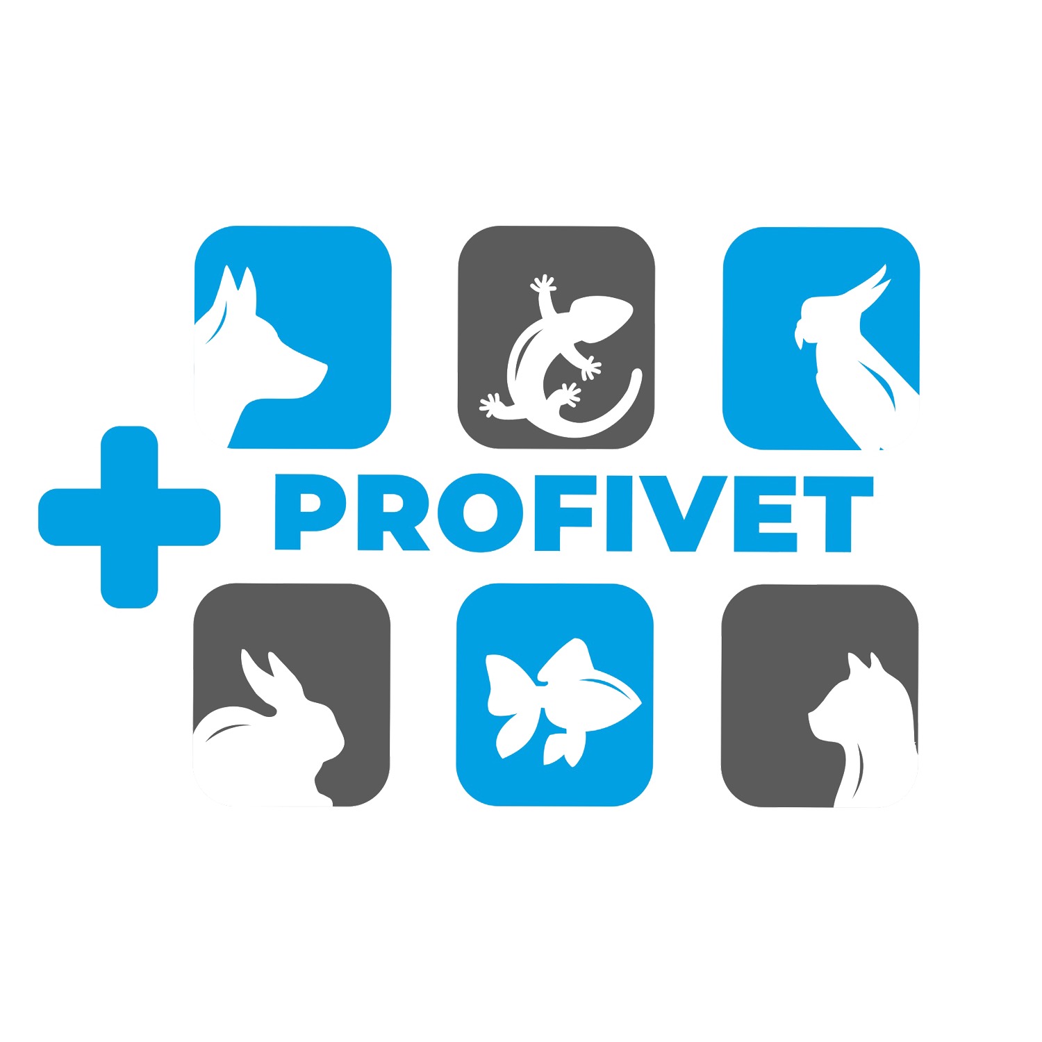 Logo Profivet: białe sylwetki psa, gekona, papugi, królika, ryby i kota na niebiesko-szarych kwadratach, obok niebieski krzyż