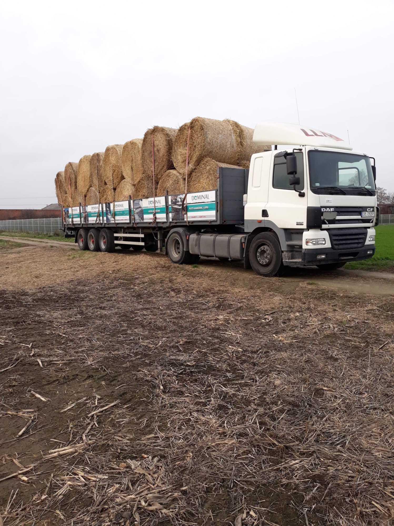 Ciężarówka DAF z naczepą wypełnioną okrągłymi balotami siana na polnej drodze, widoczna tablica z nazwą firmy na naczepie.