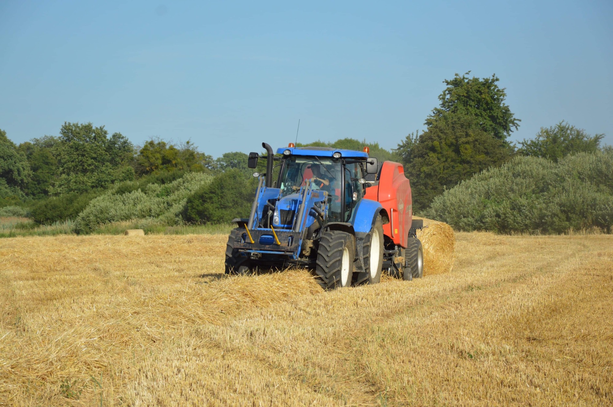 Niebieski traktor z czerwoną prasą zwijającą słomę na polu, w tle widoczne drzewa i okrągłe bele słomy.