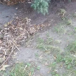 Grabienie liści opieka nad ogrodami