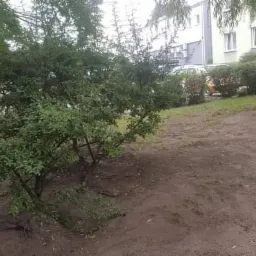 Grabienie liści na dozorstwach we wspólnocie po wykonaniu usługi