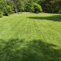 Równomiernie skoszony trawnik z widocznymi pasami, drzewa liściaste i iglaste w tle, zestaw mebli ogrodowych w oddali.