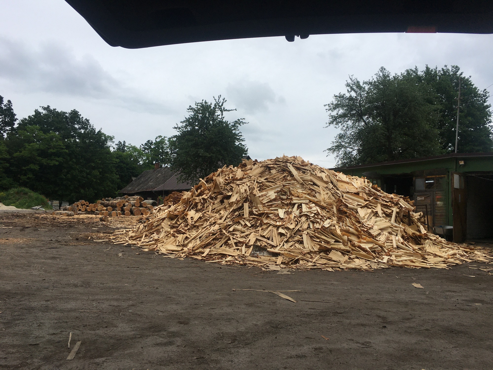 Duży stos jasnych zrębków drzewnych na placu składowym, w tle budynek gospodarczy i ułożone kłody drewna pod pochmurnym niebem.