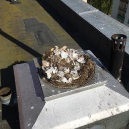 Kominiarz Warszawa 3