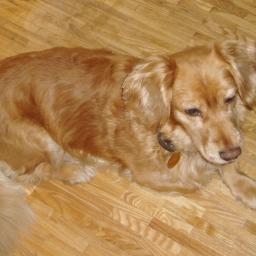 Cyklinowanie Kraków 1