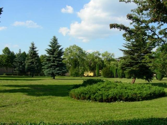 Zadbany teren zielony z równo przystrzyżonym trawnikiem, drzewami iglastymi i krzewami, na tle błękitnego nieba z lekkimi obłokami; w tle widoczny budynek z żółtą elewacją.